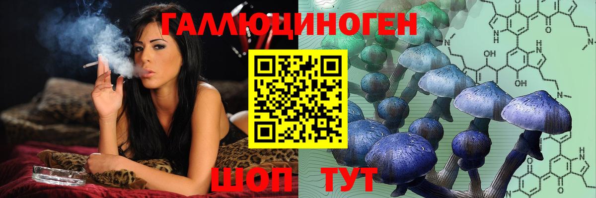 Арсеньев  Галлюциногенные грибы Magic Shrooms  Псилоцибиновые грибы Psilocybine cubensis  Вход с VPN 